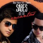 Alejandro Palacio Ft. J Álvarez - Sabes Que Me Encantas MP3